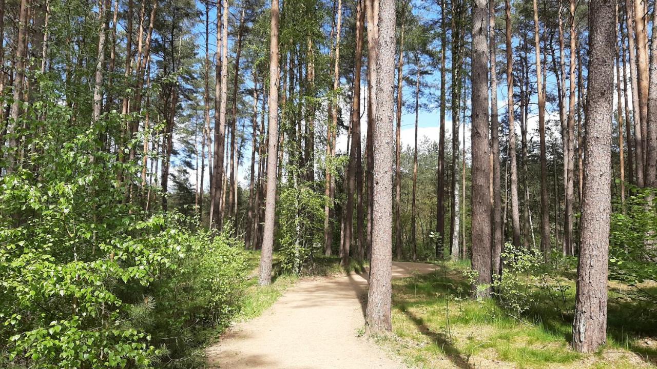 Forest Rooms Бад-Бевензен Экстерьер фото